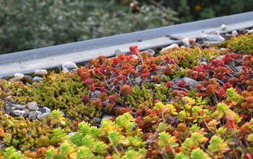 the cost of Florence green roof installation