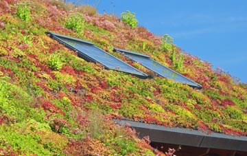 Florence living roof systems