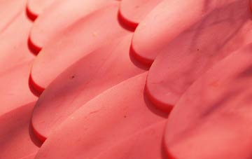 Florence plastic roof costs