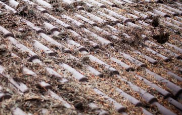 Florence roof cleaning companies