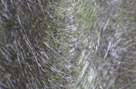 Florence fibreglass roof work